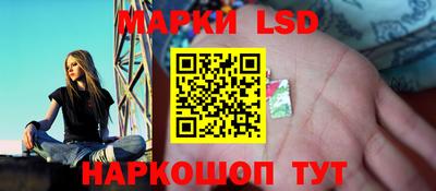 гашик Камышлов