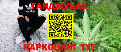 гашик Камышлов