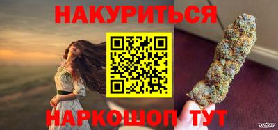 гашик Камышлов