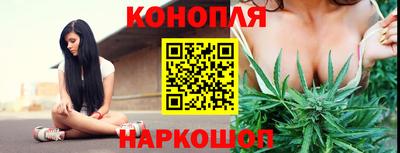гашик Камышлов