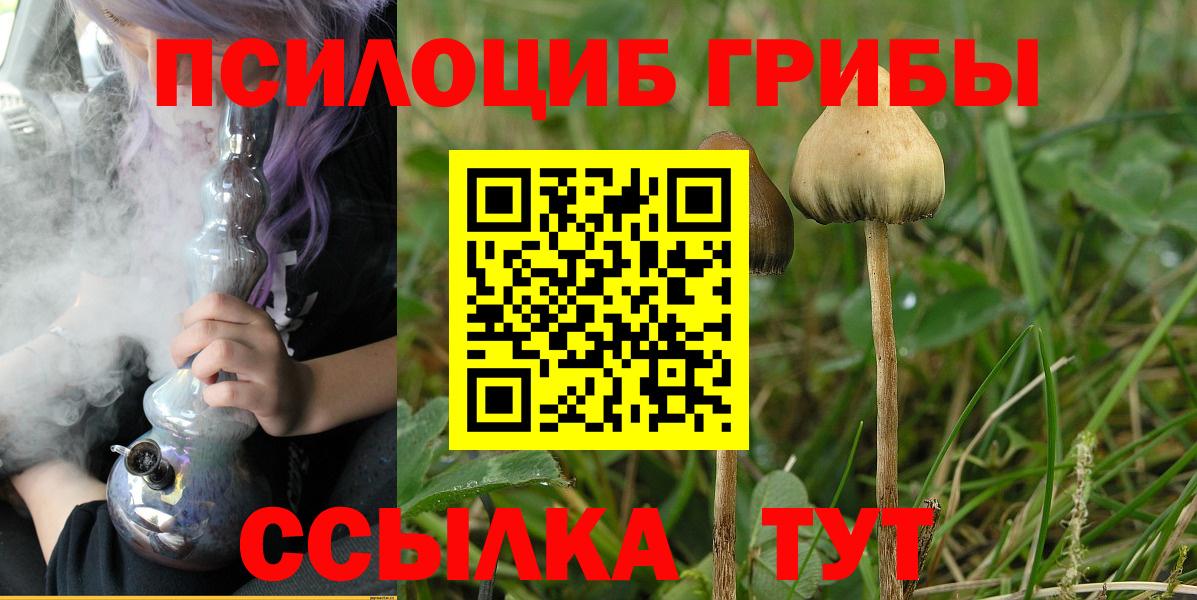 Псилоцибиновые грибы прущие грибы  Вход с VPN  Кызыл 